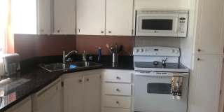 221 CEDARWOOD Circle Gallery 8