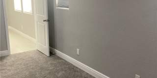 7020 Albatross Attic Street Gallery 28