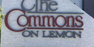 1215 E LEMON ST #105 1215 E LEMON ST #105 Gallery 1