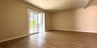 MELROSE DISTRICT CONDO WITH HUGE MOVE-IN SPECIAL – HALF OFF FIRST & SECOND MONTH’S RENT! Gallery 11