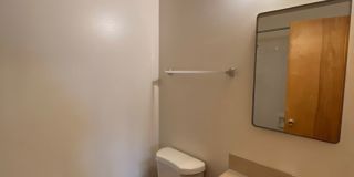 Little Beauty Gallery 12