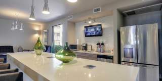 4200 Paradise Gallery 21