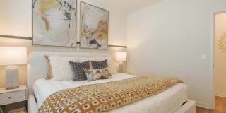 Altera Jacaranda Gallery 13