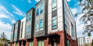 Village at Commonwealth Gallery 23