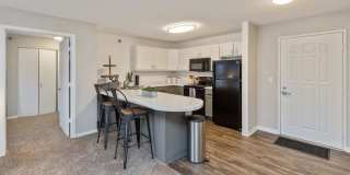 Zen Chaska Zen Chaska Gallery 4