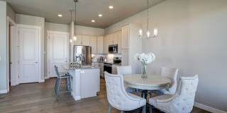 Mangold831 (KC-LN) Gallery 21