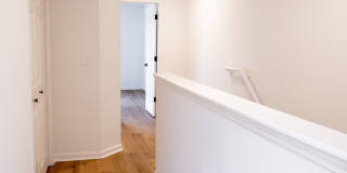 The Moxie Gallery 49