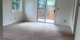 Beautifully Updated Fairwood Cul-de-Sac Home – Fresh Paint Throughout! Gallery 27