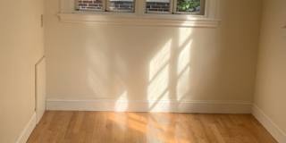 41 Linnaean Street Gallery 13