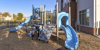 The Davis The Davis Gallery 11