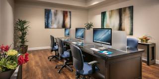 San Artes by Mark-Taylor Gallery 12