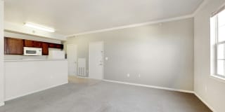 Alexis at Perry Pointe Gallery 48