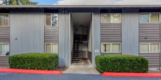 Michael Manor Apartments Gallery 25