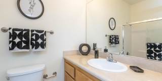 Colony Townhomes Gallery 146