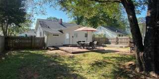 8 Lester Avenue Gallery 18