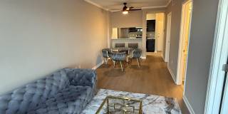 2009 Greene Street 203 Gallery 1