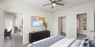 Camden Caley Gallery 5