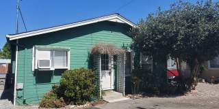 Buena Vista Gallery 1