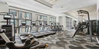 Josephine Gallery 24