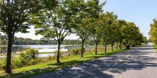 Mosaic at Metro Gallery 46