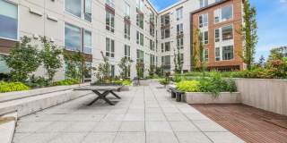 Ellis at Bel-Red Gallery 18