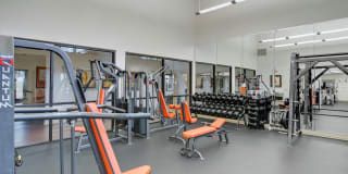 Avanti Cityside Gallery 12