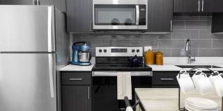 The Lotus Gallery 14