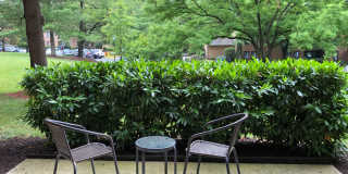 Spacious North Bethesda 3BR with Private Patio & Resort-Style Amenities Gallery 21