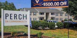 The Perch on Commonwealth Gallery 1