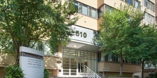 The York and Potomac Park Gallery 32