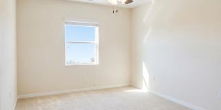 3220 Recco Place Gallery 17