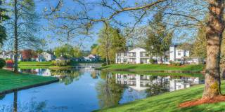 Island Park Gallery 30