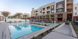 The Avalyn Gallery 38