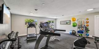 The Ashley Gallery 5