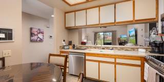 28914 Desert Princess Drive Gallery 5