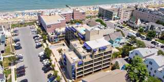 8 OLIVE Avenue Gallery 1