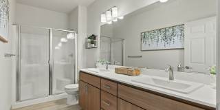 Meritum Evergreen Gallery 9