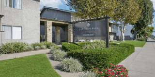 Langdon Park on Arrow Gallery 24