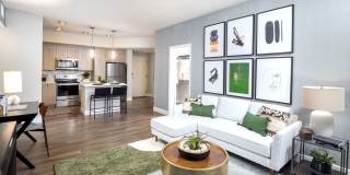 Locklyn West Palm Gallery 8