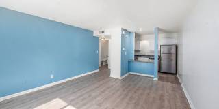 The Chestnut Gallery 6