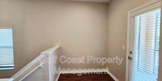 4212 Via Piedra Circle Gallery 6