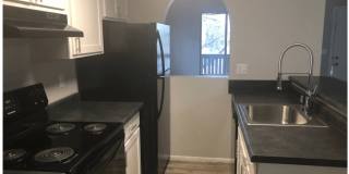 Ashford Apartments Gallery 18