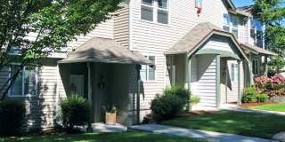 Willina Ranch Gallery 15