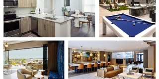 Passport Apartments Herndon Gallery 1