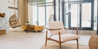 Mondrian on Lake Eola Gallery 25