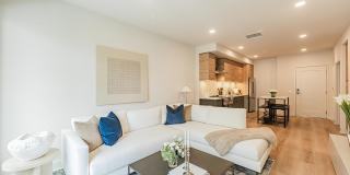 Citrus Commons Gallery 3