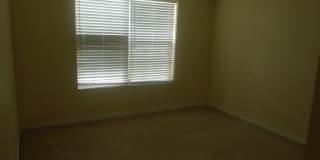 8331 Bernwood Cove Loop Gallery 5