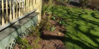 Beautiful 2 bedroom Beautiful 2 bedroom Gallery 33