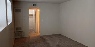 Studio with extra large closet and Bath, 600 sqft with walk in closet, washer/dryer in complex Gallery 11