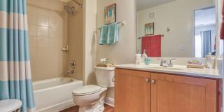 Smith's Landing Gallery 28